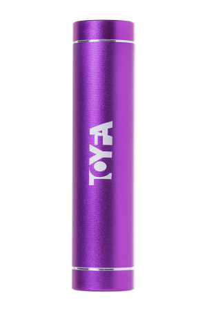 Зарядное устройство Power bank TOYFA A-Toys